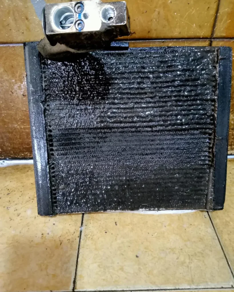 slimy Evaporator